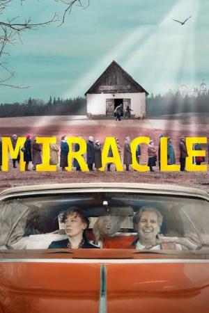 Miracle/Stebulkas (2017)