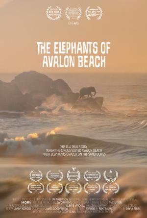 The Elephants of Avalon Beach