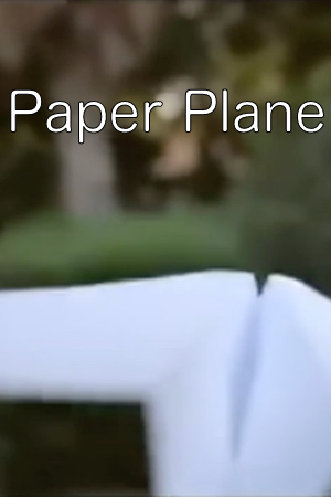 Paper Plane