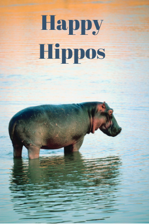 Happy Hippos
