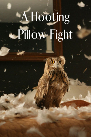 A Hooting Pillow Fight