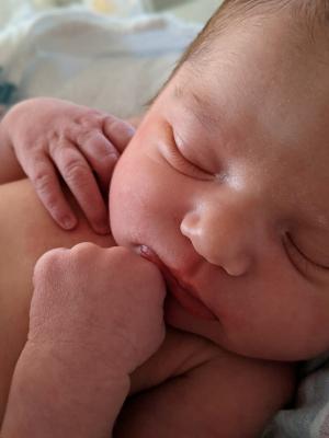 DEMO